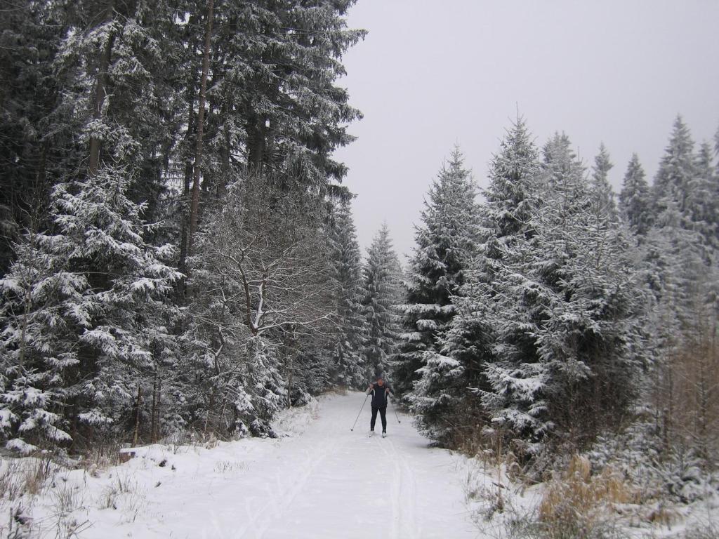 Apartmany U Lipno Frymburk Esterno foto