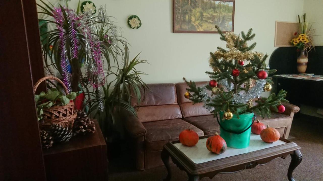 Apartmany U Lipno Frymburk Esterno foto